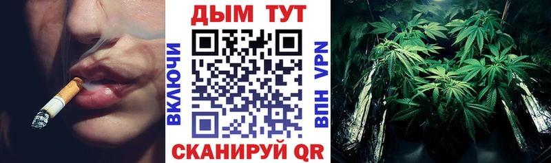 Бошки марихуана OG Kush  Новоржев 